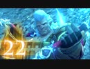 【字幕プレイ】レベルを上げすぎなゼノブレイド2　Part22
