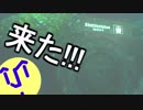 新天地へ向けて | SOMA