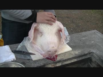 豚の希少部位を持ってキャンプ場にいこうZE！