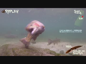 【水中動画有】管理釣り場でミノーだけ #19