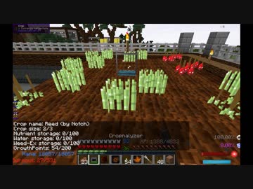【Minecraft】　修　行　#16