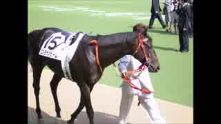 【ウイニングポスト8 2015】女馬主と早世馬の新世界【実況プレイ】271