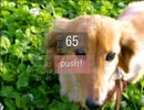 【RaNuBui.exe】クリック連打するだけの簡単なお仕事【単発】