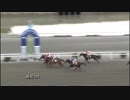 2018年1月14日高知競馬4R 今年もナイター特別(C3-2組) タイセイマスタング