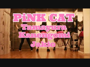 【たまゆら 可燃ゴミ じゃきお】 PiNK CAT 踊ってみた