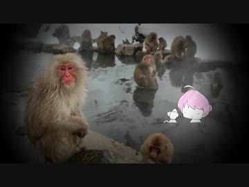 【巡音ルカ】銀色の冬【オリジナル曲】