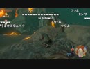 【YTL】うんこちゃん『ゼルダの伝説 ブレス オブ ザ ワイルド』part53