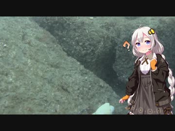 きまぐれ水中観察その17、新居海釣り公園6