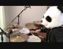 【叩いてみた】欅坂46「風に吹かれても」【ぱんだ】