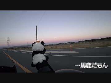 「ヒーテックデビューレビュー　編」ヤエパン。のヤエ散歩①