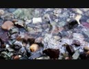 Stones, Waves, Water　片平太陽