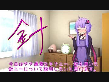 結月ゆかりの針ニー解説動画