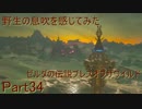 野生の息吹を感じてみたゼルダの伝説ブレスオブザワイルド　 part34
