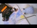 【ASMR】針を刺す音【音フェチ】