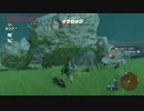 【ゼルダの伝説BotW】スタイリッシュブーメランアクション