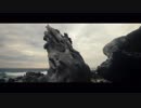 Video Of Seashore　徳川高人
