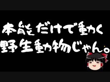 【ゆっくり保守】沖縄プロ土人を人間として見る期間は終わった