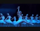 【画質・1080pテスト】白鳥の湖 ～Pas de Deux【ロパートキナ】
