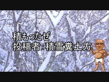 積もったぜ　投稿者：積雪糞土方