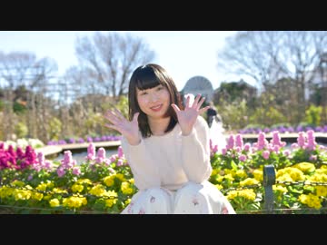【秋雨】Hand in Hand　踊ってみた【おやすみなさい】