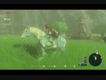 （１５）はじめてのゼルダの伝説ブレスオブザワイルド
