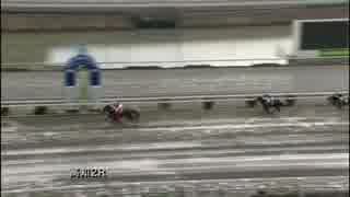 2018年1月17日高知競馬2R ポンカンジャム特別(3歳-1組) ネイティブゴールド