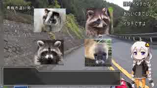 あかりちゃんと行く、のんびりツーリング【part2】撮影テスト編♯２