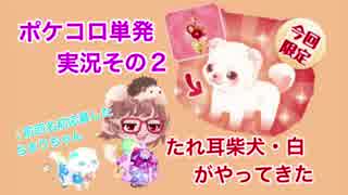□■ポケコロ新春ガチャ限定のたれ耳柴犬がやってきた【単発実況】