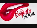 [洋楽] J Alvarez ft. Zion y Lennox - Esa Boquita Remix  [MV]