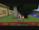 【Minecraft】いろんな合間のマイクラ日記≪２０日目≫