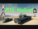 [WoT]糞猫の怨返し２[眼鏡もあるよ17]