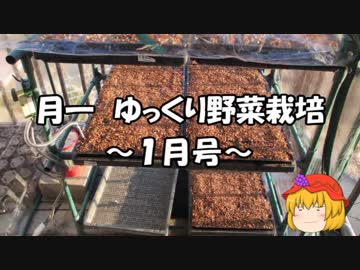 月一 ゆっくり野菜栽培 Part6