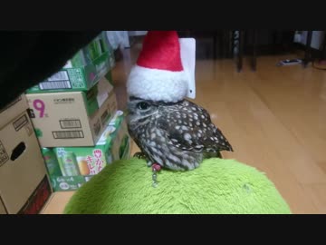 メリークリスマス！