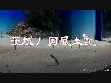 茨城ノ国風土記　第１章１話後編『大洗磯前神社』