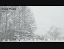 Snow Magic