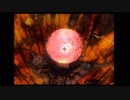 【実況プレイ】FFⅨを普通に頑張る　パート69