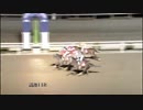 2018年1月21日高知競馬11R 大寒特別(C2-1組) マンボダンサー