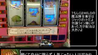 メダゲー紹介15『ワンダークエスト×２』