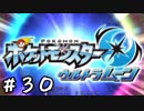 【これぞ新時代！】ウルトラ・ムーン【実況プレイ】Part30