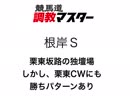 競馬道調教マスターで根岸Ｓの勝ち馬を探す