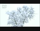 菅原一秀　雪が枝いっぱいに積もる