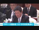 TPP“最終調整”カナダ対応焦点　3月上旬にも署名式