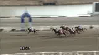 2018年1月21日高知競馬2R 斎木家メイド一同協賛 佐々原藍子誕生日特別