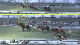 2018年1月21日帯広競馬7R 水樹奈々誕生日＆ライブ開催記念(B1-5) ミツボシ