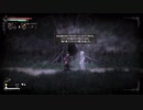 塩分を過剰に摂取していく【SaltandSanctuary】＃５