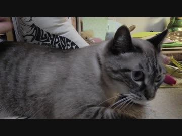 【Jean &amp; Pont 839】ハンサムジャンくんの人気が最高潮に！