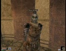 Morrowind ヘタレひとり旅 part52