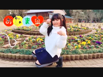 【しょこら】おじゃま虫　踊ってみた【JS4】