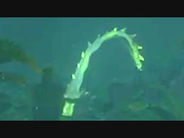 ブレワイぺろぺろ part13【ゼルダBotW実況】