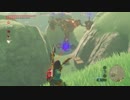 【実況】ゼルダの伝説 ブレスオブザワイルド 英傑達の詩(バラッド)Part６